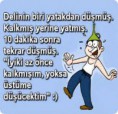 /album/resim-galerisi/indir-1-jpg1/
